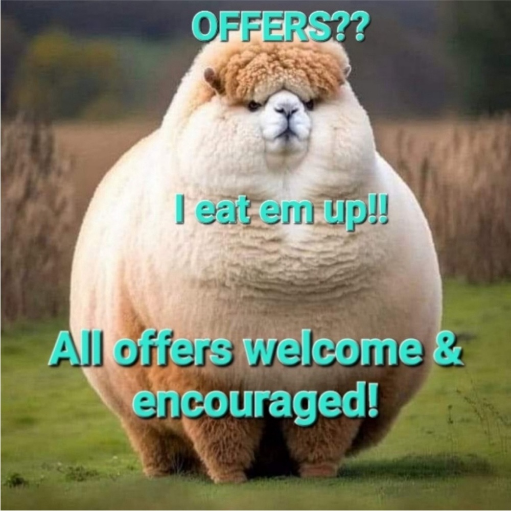 I love offers! Try me.
